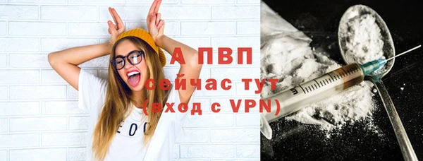 крисы Медвежьегорск