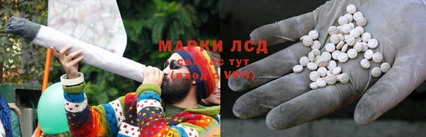 ГАЛЛЮЦИНОГЕННЫЕ ГРИБЫ Михайлов
