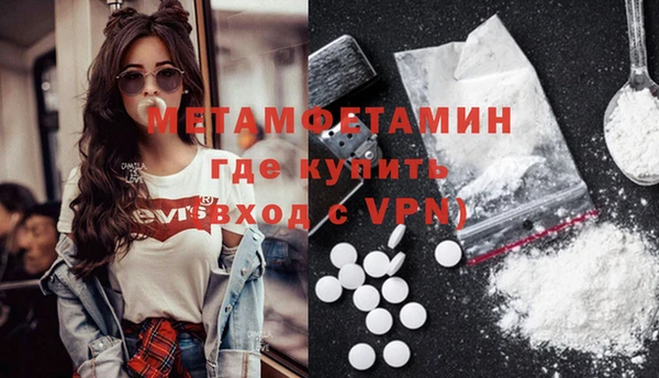 ГАЛЛЮЦИНОГЕННЫЕ ГРИБЫ Михайлов