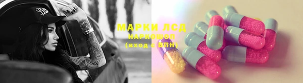 ГАЛЛЮЦИНОГЕННЫЕ ГРИБЫ Михайлов