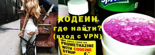 ГАЛЛЮЦИНОГЕННЫЕ ГРИБЫ Михайлов