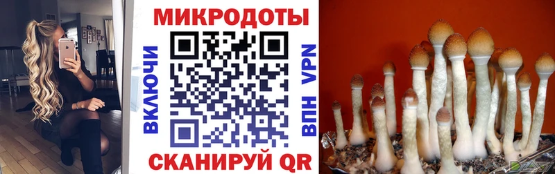 где купить   Электроугли  Псилоцибиновые грибы Magic Shrooms 